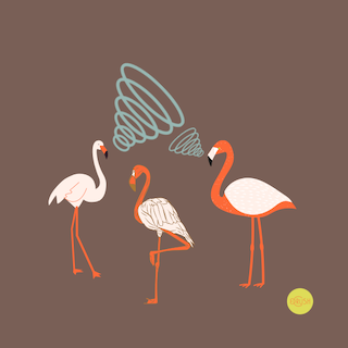 A Circle of Crones.  By Elayne Clift