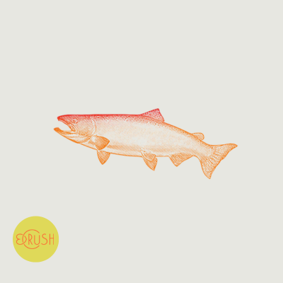 Grilled Plank Salmon. My Very Favorite Way to Fix Salmon, from My Very Favorite Ex. By Dish Stanley