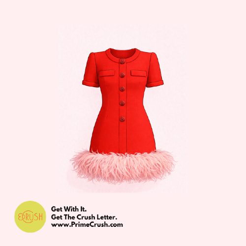 To Add Ostrich Feathers to My Red Dress: Achievable New Year’s Resolutions by Dish Stanley